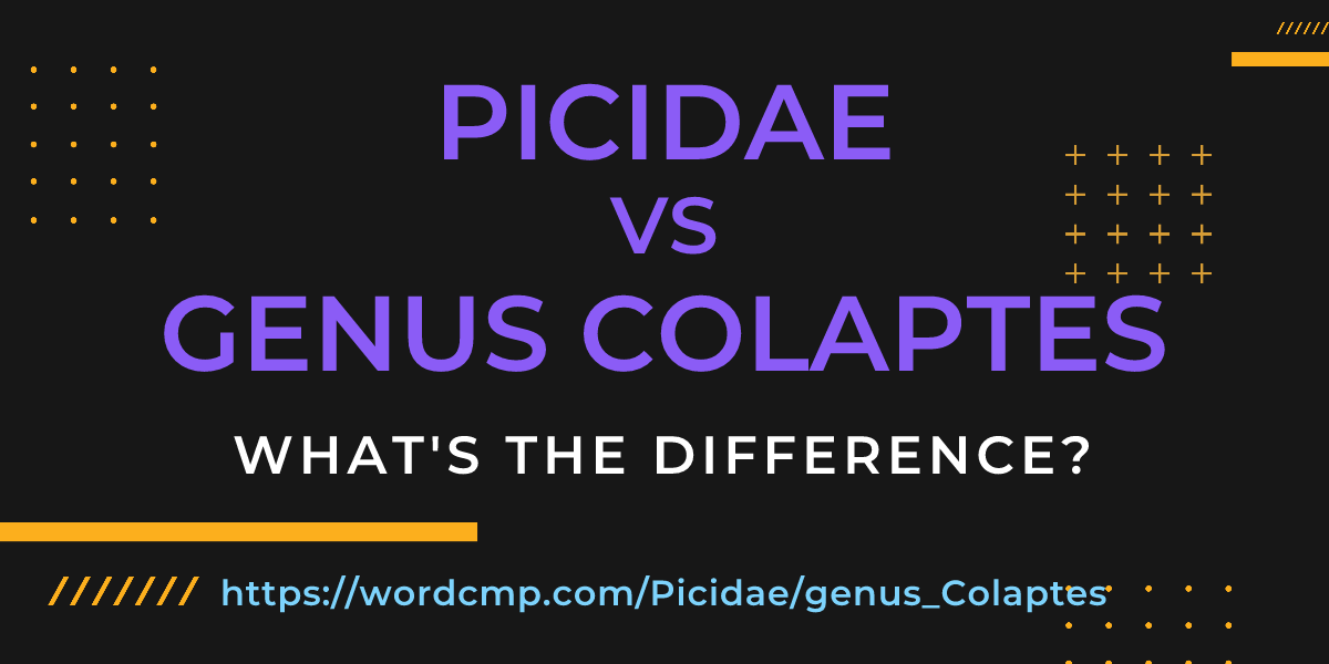 Difference between Picidae and genus Colaptes