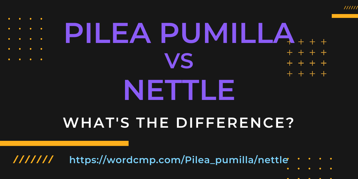 Difference between Pilea pumilla and nettle