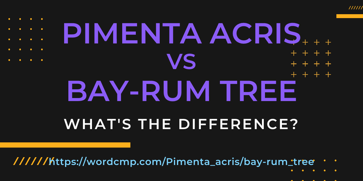 Difference between Pimenta acris and bay-rum tree