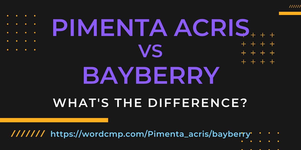 Difference between Pimenta acris and bayberry