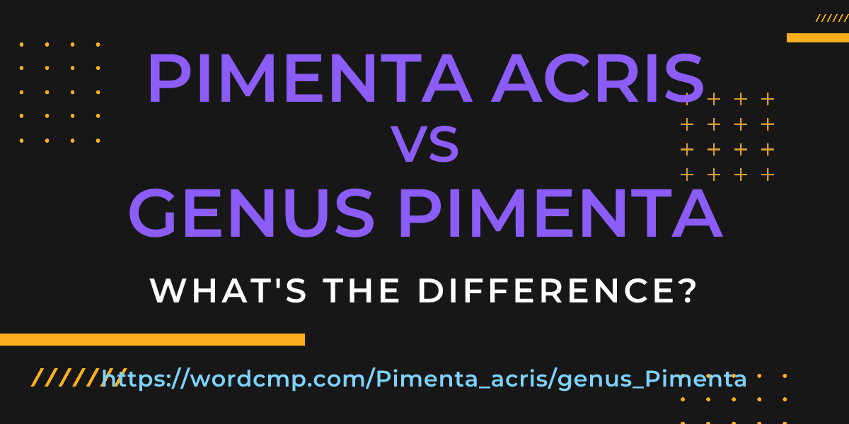 Difference between Pimenta acris and genus Pimenta