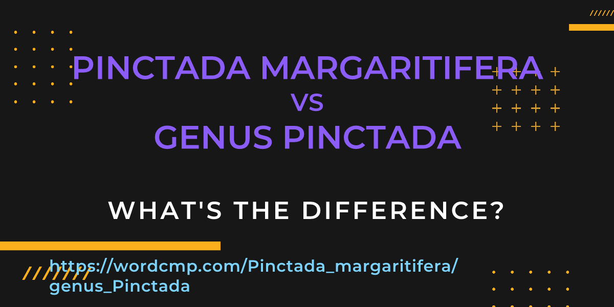 Difference between Pinctada margaritifera and genus Pinctada