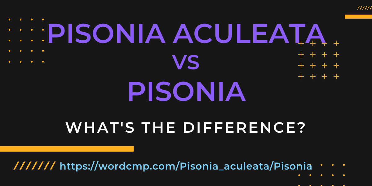 Difference between Pisonia aculeata and Pisonia