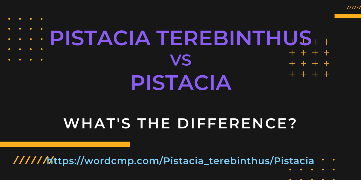 Difference between Pistacia terebinthus and Pistacia