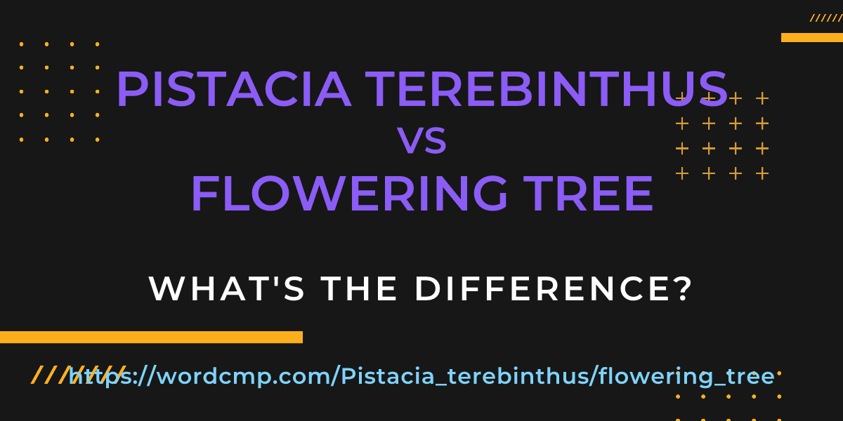 Difference between Pistacia terebinthus and flowering tree