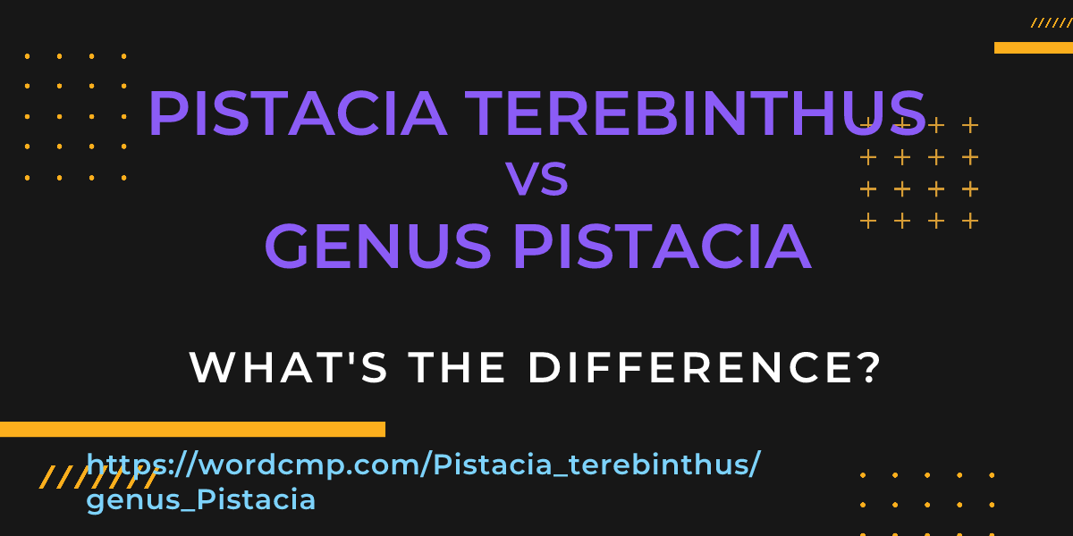Difference between Pistacia terebinthus and genus Pistacia