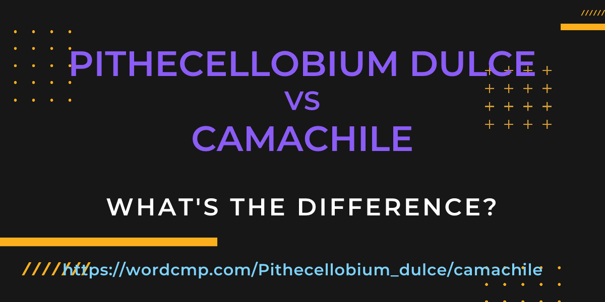 Difference between Pithecellobium dulce and camachile