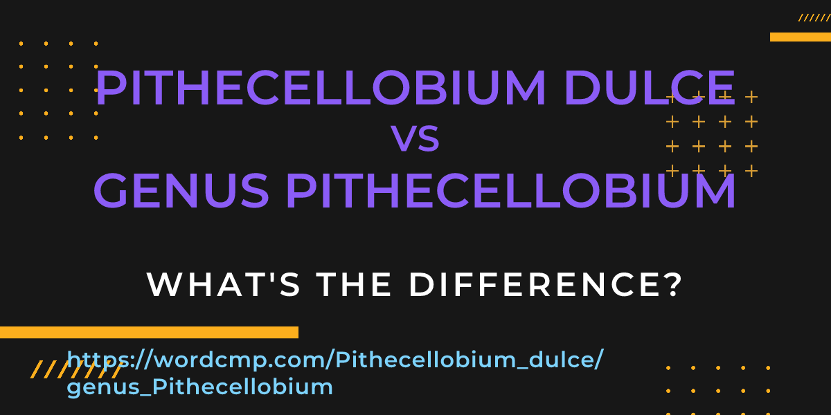 Difference between Pithecellobium dulce and genus Pithecellobium