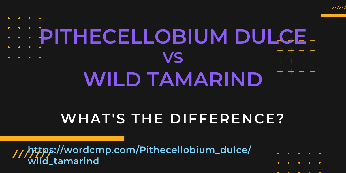 Difference between Pithecellobium dulce and wild tamarind