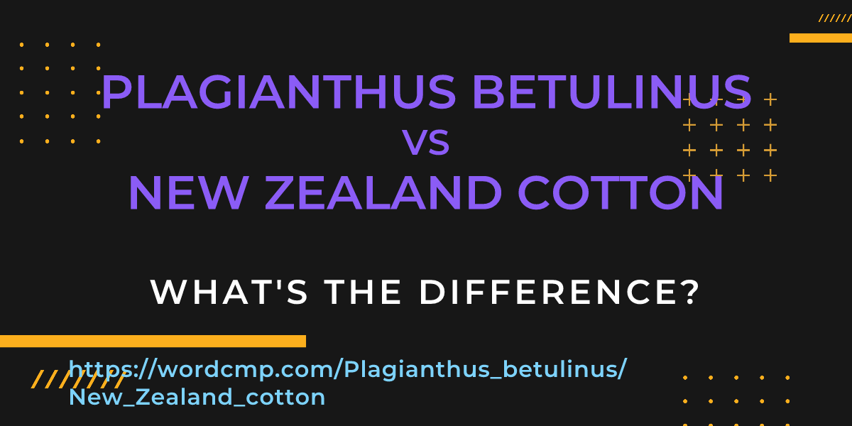 Difference between Plagianthus betulinus and New Zealand cotton