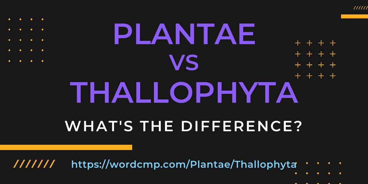 Difference between Plantae and Thallophyta