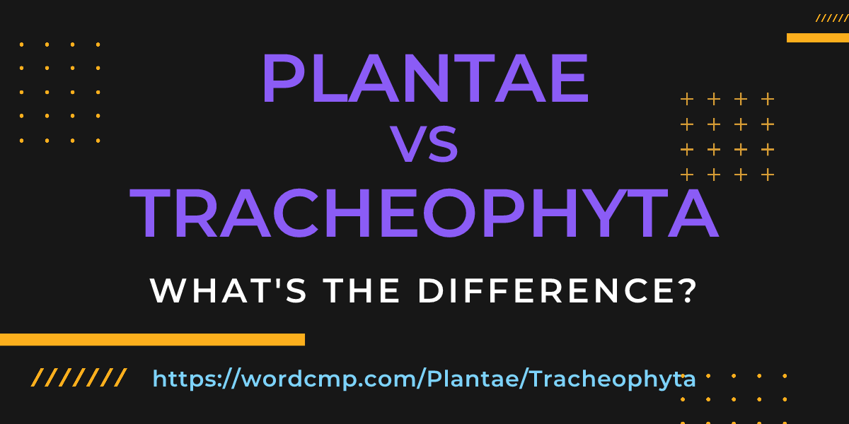 Difference between Plantae and Tracheophyta