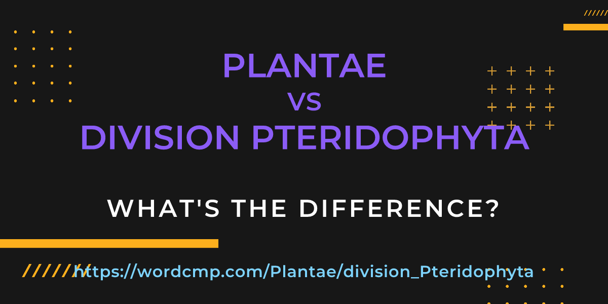 Difference between Plantae and division Pteridophyta