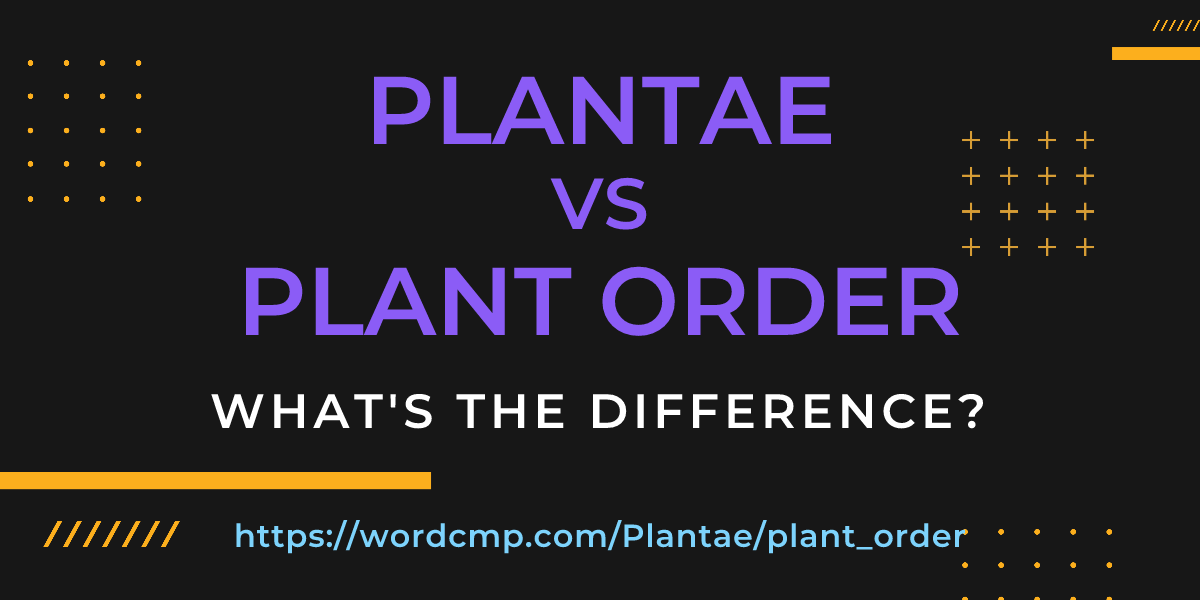 Difference between Plantae and plant order