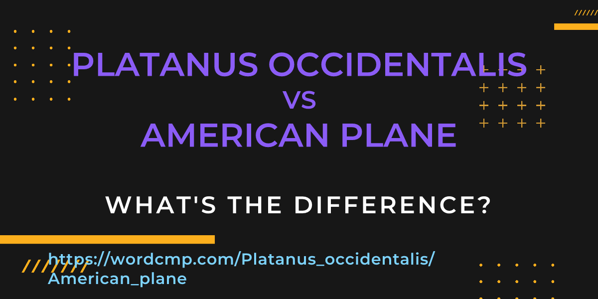 Difference between Platanus occidentalis and American plane