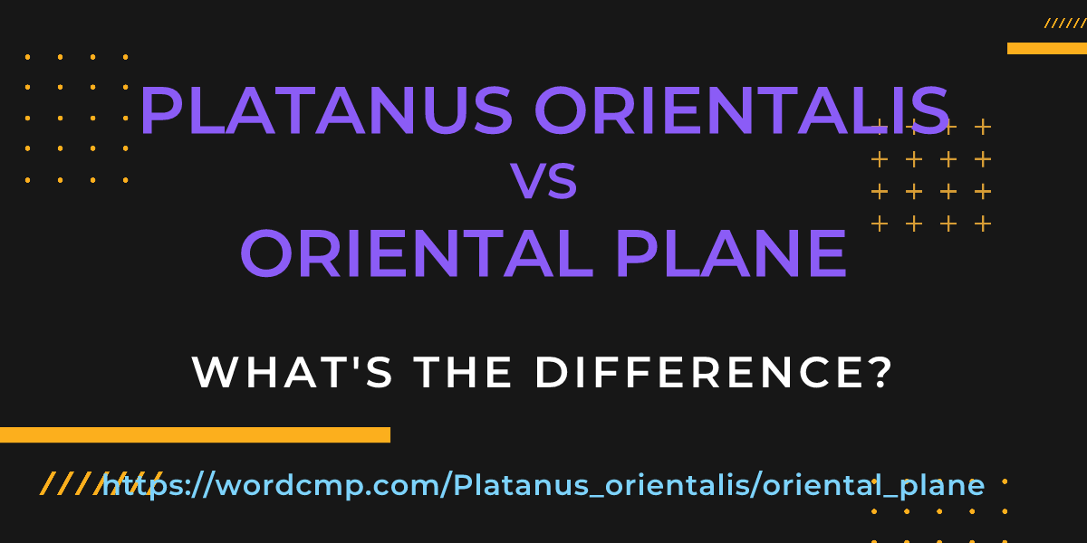 Difference between Platanus orientalis and oriental plane