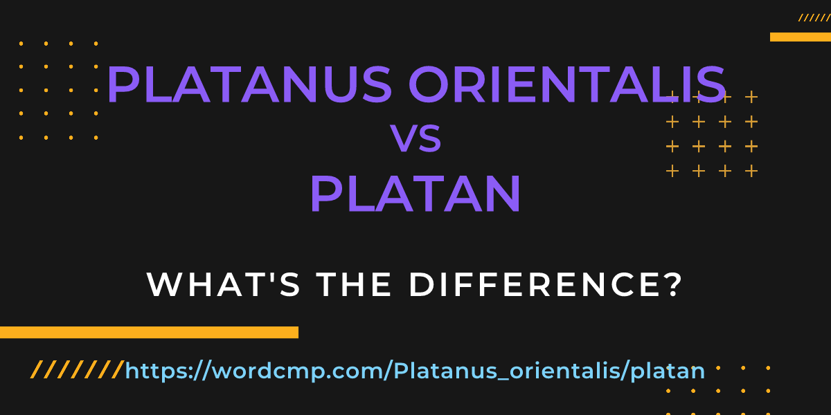Difference between Platanus orientalis and platan