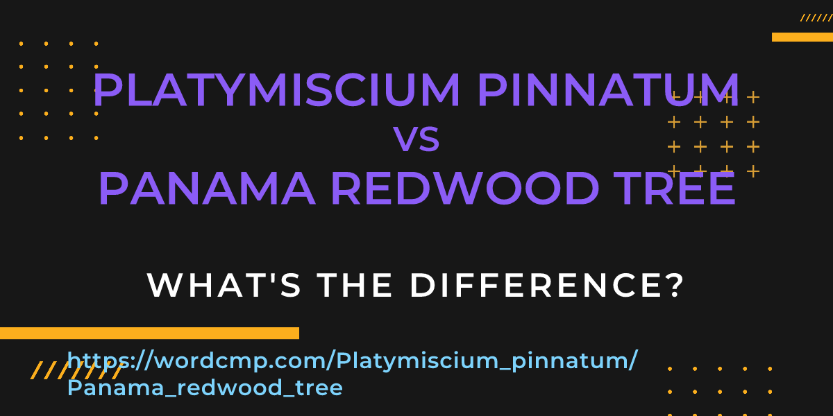 Difference between Platymiscium pinnatum and Panama redwood tree