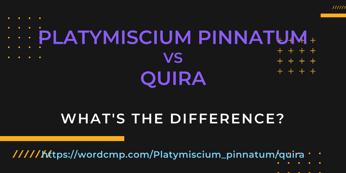 Difference between Platymiscium pinnatum and quira