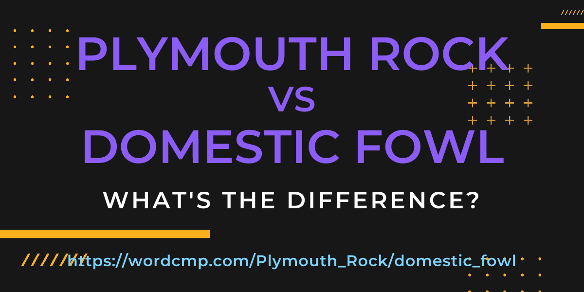Difference between Plymouth Rock and domestic fowl