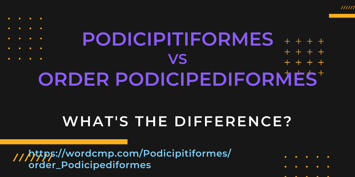 Difference between Podicipitiformes and order Podicipediformes