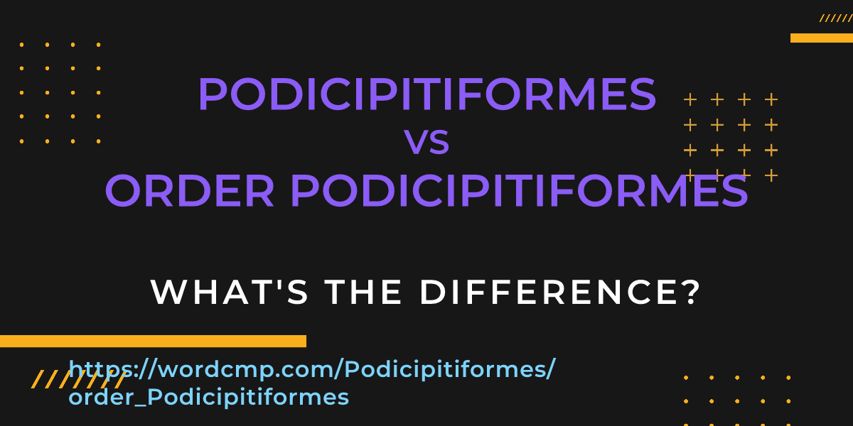 Difference between Podicipitiformes and order Podicipitiformes