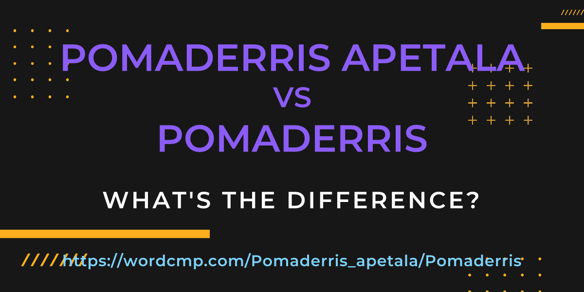 Difference between Pomaderris apetala and Pomaderris