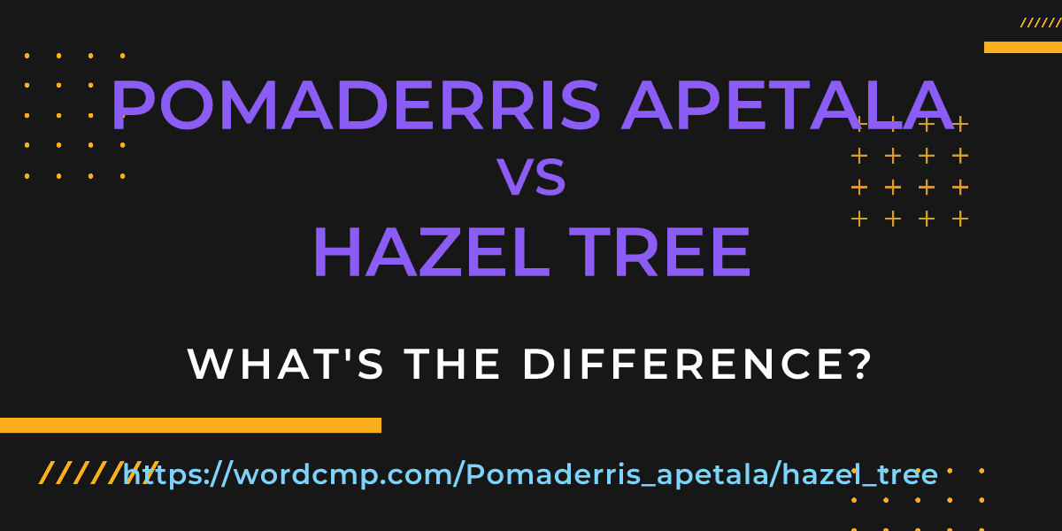 Difference between Pomaderris apetala and hazel tree