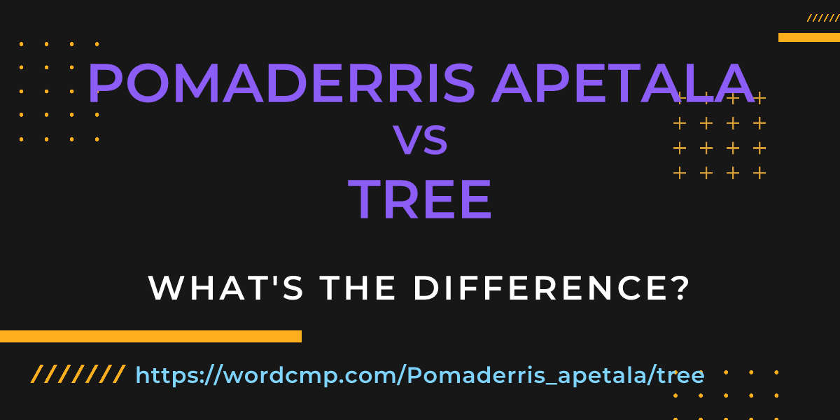 Difference between Pomaderris apetala and tree