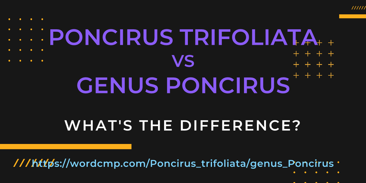 Difference between Poncirus trifoliata and genus Poncirus