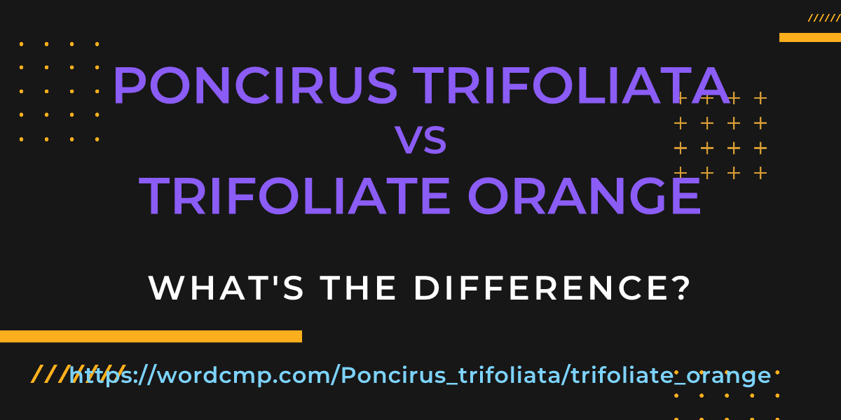 Difference between Poncirus trifoliata and trifoliate orange