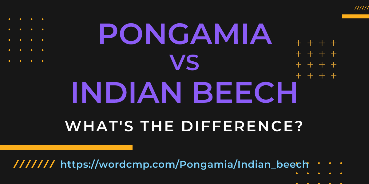 Difference between Pongamia and Indian beech