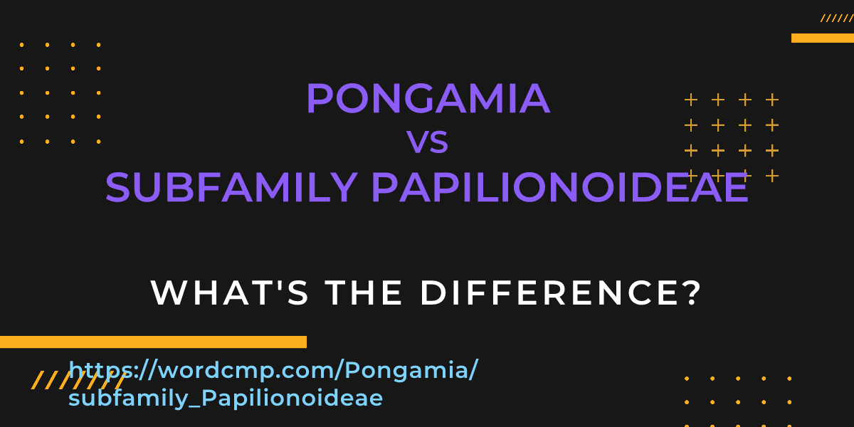 Difference between Pongamia and subfamily Papilionoideae
