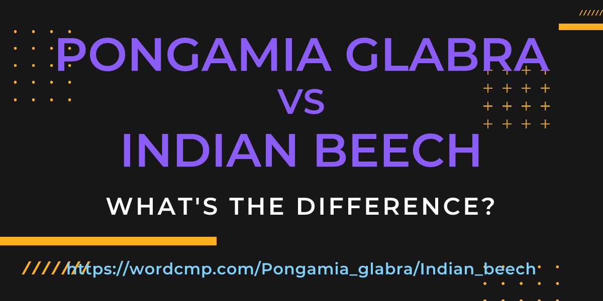 Difference between Pongamia glabra and Indian beech