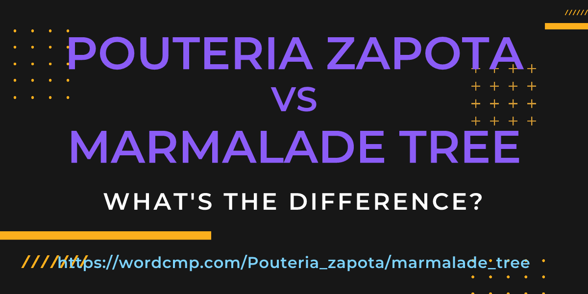 Difference between Pouteria zapota and marmalade tree