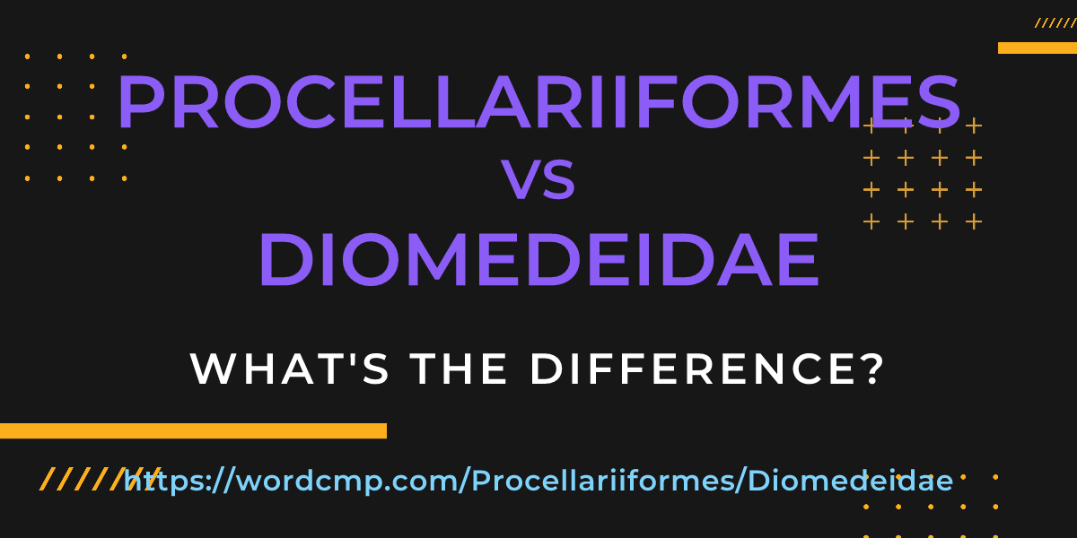 Difference between Procellariiformes and Diomedeidae
