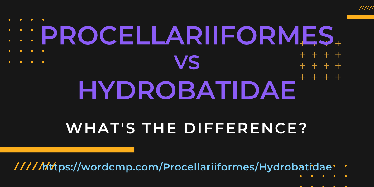 Difference between Procellariiformes and Hydrobatidae