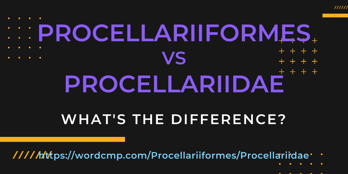 Difference between Procellariiformes and Procellariidae
