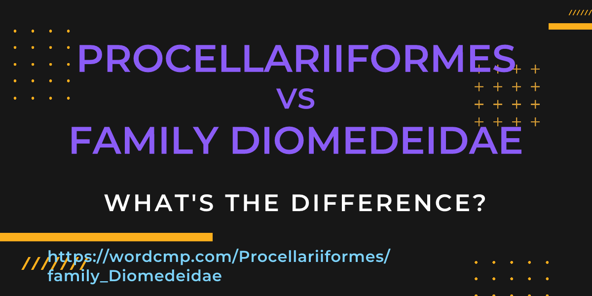 Difference between Procellariiformes and family Diomedeidae