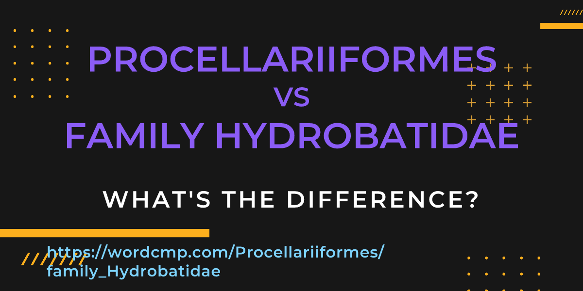 Difference between Procellariiformes and family Hydrobatidae