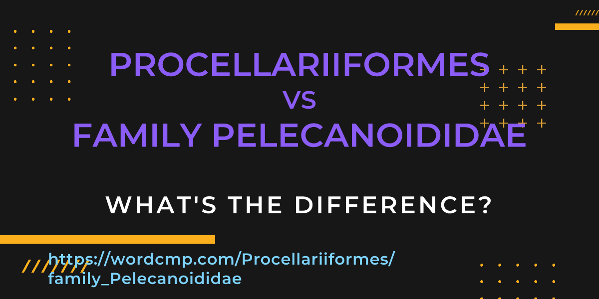 Difference between Procellariiformes and family Pelecanoididae
