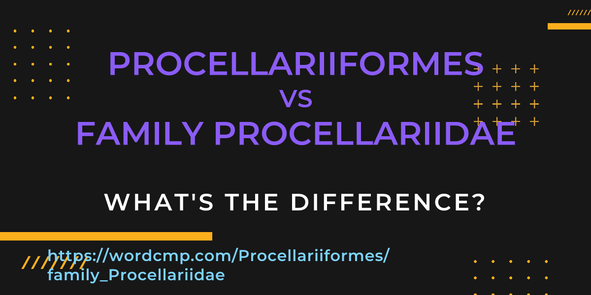 Difference between Procellariiformes and family Procellariidae