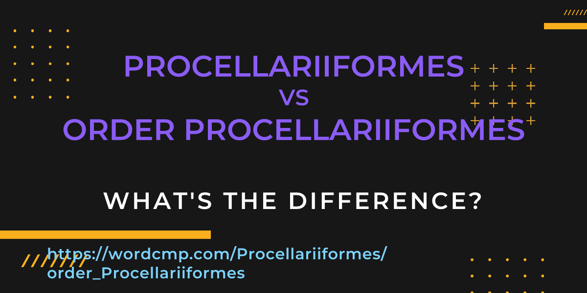 Difference between Procellariiformes and order Procellariiformes