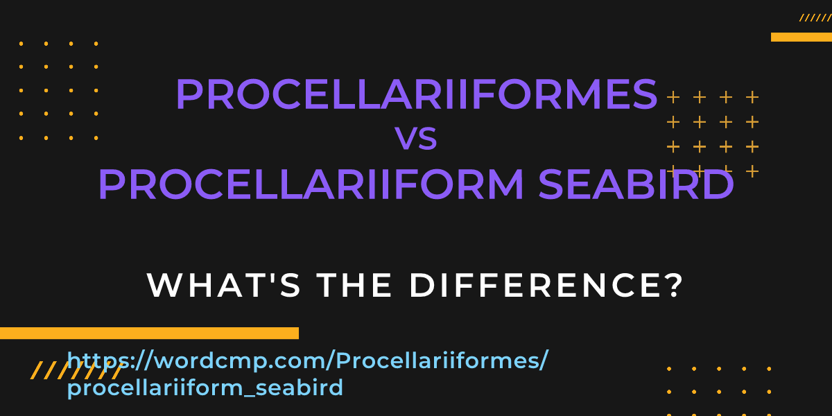 Difference between Procellariiformes and procellariiform seabird