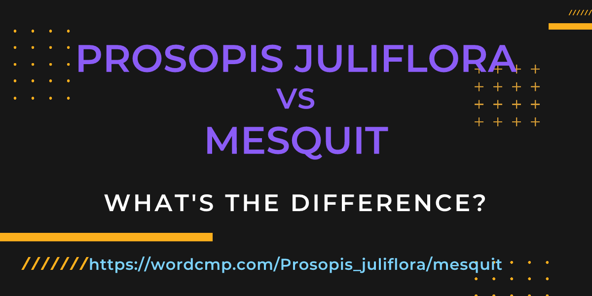 Difference between Prosopis juliflora and mesquit