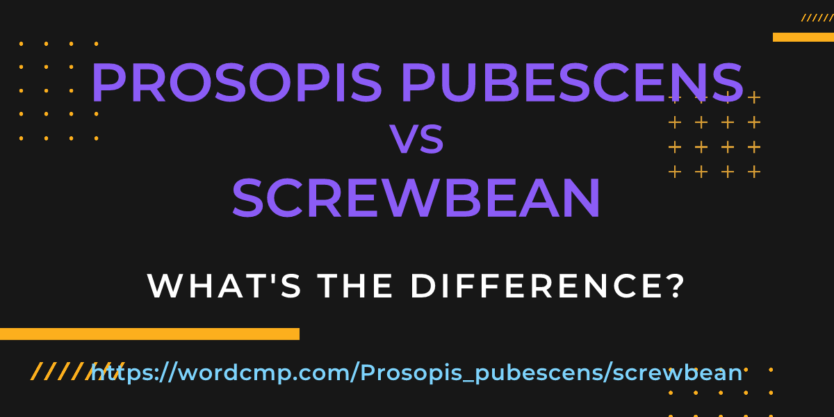Difference between Prosopis pubescens and screwbean