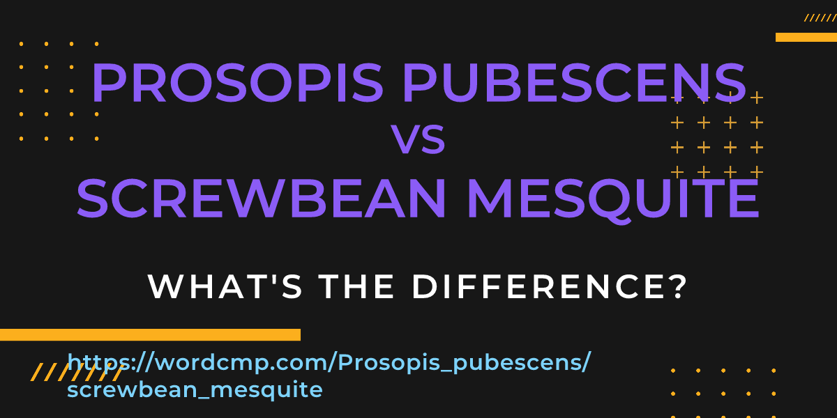 Difference between Prosopis pubescens and screwbean mesquite