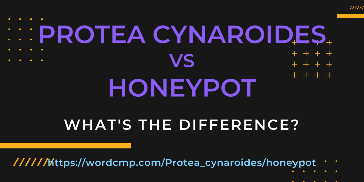 Difference between Protea cynaroides and honeypot