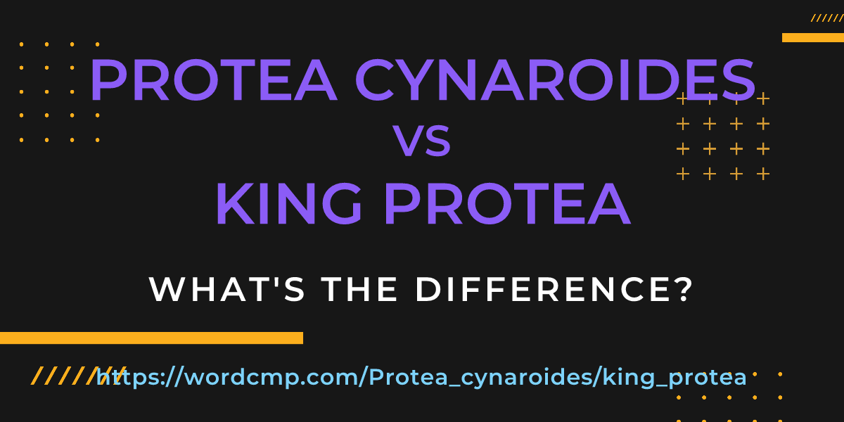 Difference between Protea cynaroides and king protea