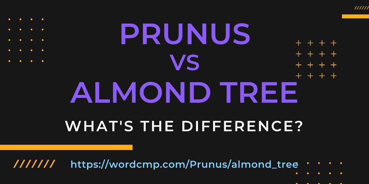 Difference between Prunus and almond tree
